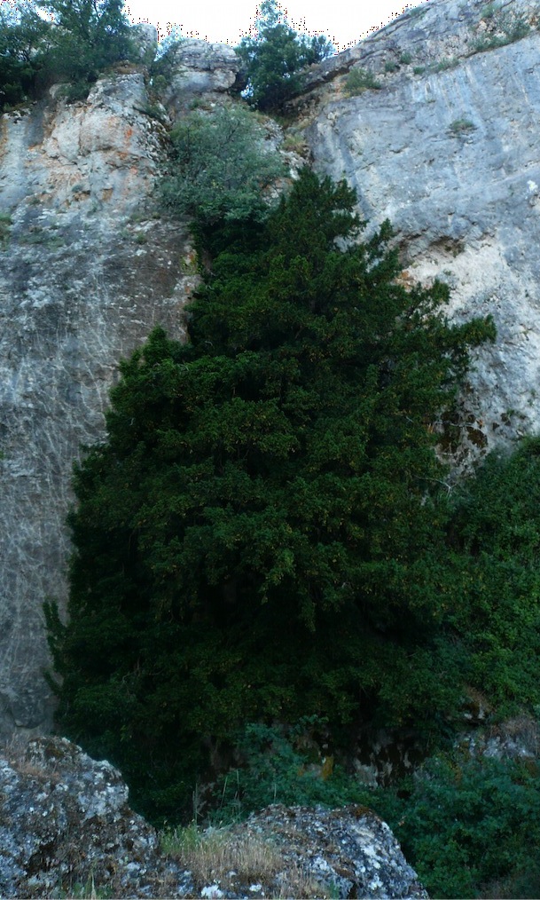 Monte Novo San Giovanni